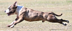BC earning his Junior Courser title in July 2024.